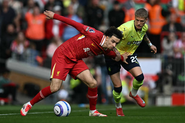 位巴西新星 位巴西新星