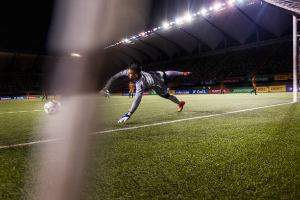 的大胆投资 的大胆投资