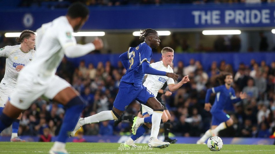 可预测的挑 可预测的挑